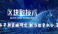 数字货币早期策略研究：抓住投资机会，赢在未