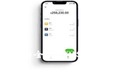 如何在TP钱包中安全存储USDT：全面指南与技巧