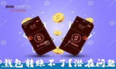 为什么TP钱包转账不了？潜在问题解决指南
