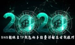 BNB转账至TP钱包的手续费详解及省钱技巧