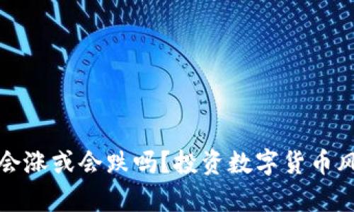 TP钱包里的币会涨或会跌吗？投资数字货币风险与机遇解析