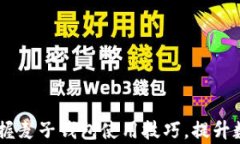 imToken与TP：掌握麦子钱包使用技巧，提升数字资
