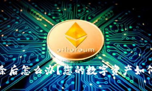 TP钱包删除后怎么办？您的数字资产如何安全恢复