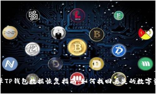 安卓TP钱包数据恢复指南：如何找回丢失的数字资产