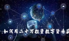 2025必看：如何用二十万投资数字货币获得高回报